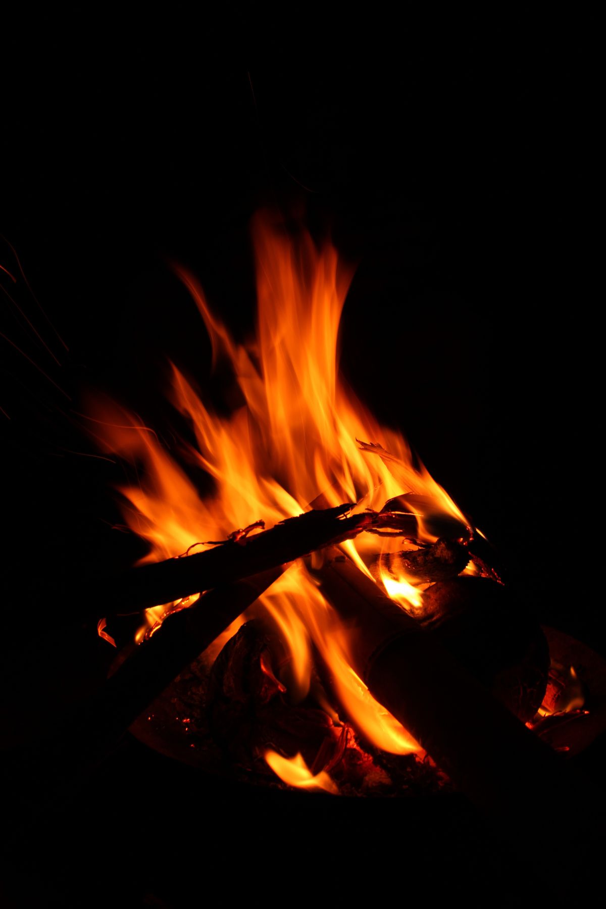夜のBanbooの森で燃える焚き火
